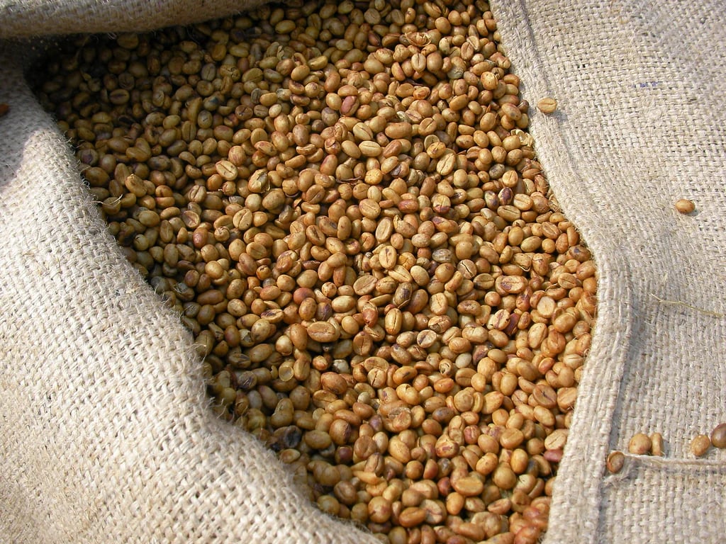 Green_Coffee_in_Sack_India_1024x1024.jpg